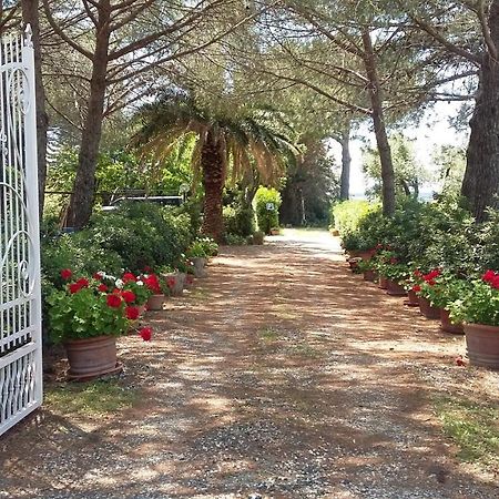 Campo Alle More Cecina  Exterior foto
