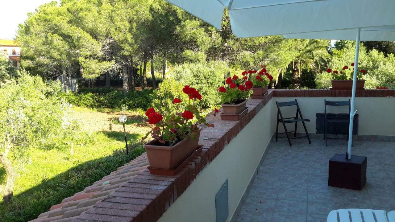 Campo Alle More Cecina  Exterior foto