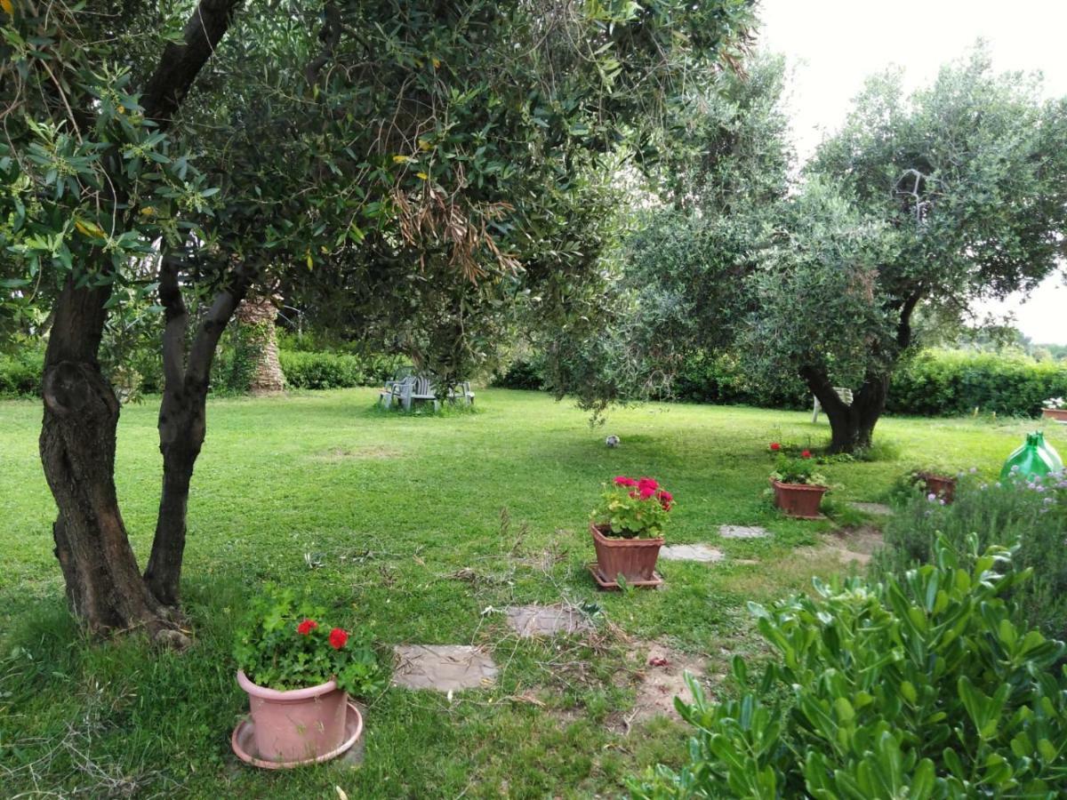 Campo Alle More Cecina  Exterior foto