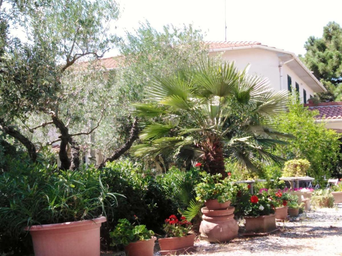 Campo Alle More Cecina  Exterior foto